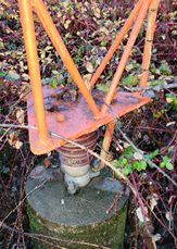 overgrown vegetation at an AM tower base